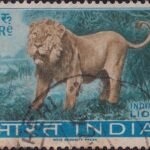 India Wild Life Series 1963 Asiatic lion
