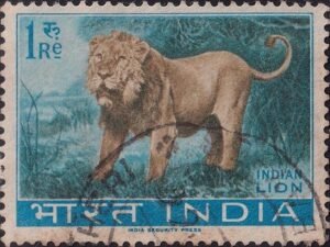 भारतीय शेर