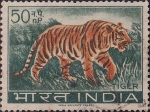 भारतीय बाघ (व्याघ्र)
