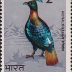 Indian Birds 1975 Impeyan monal