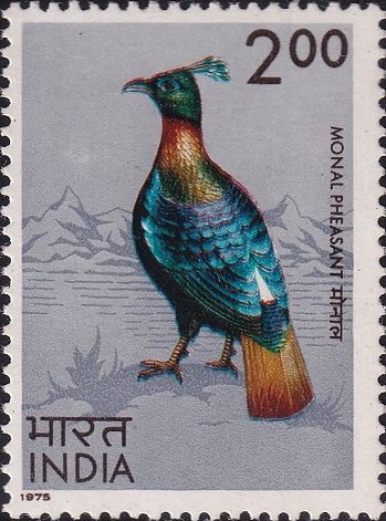 Impeyan monal