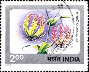 कलिहारी