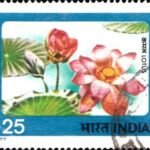 Indian Flowers 1977 कमल