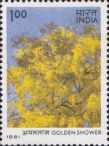 अमलतास
