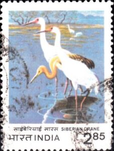 International Crane Foundation