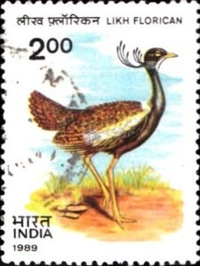 खरमोर पक्षी
