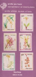 Indian Orchids