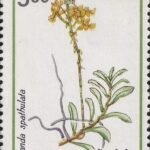 India Greetings 1991