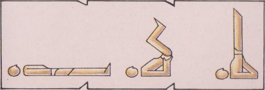 सर्वांगासन : Shoulder Stand