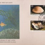 Shells of Andaman and Nicobar