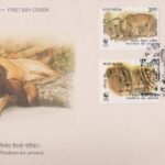 Panthera leo persica