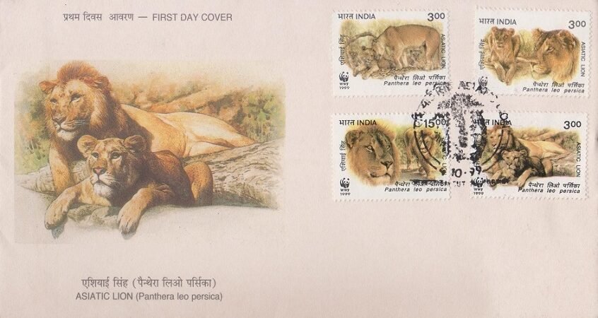 Panthera leo persica