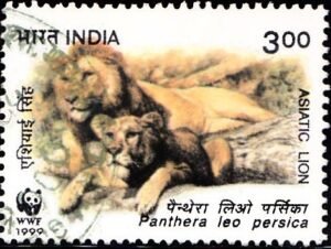 गिर राष्ट्रीय उद्यान
