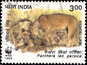 Gir National Park