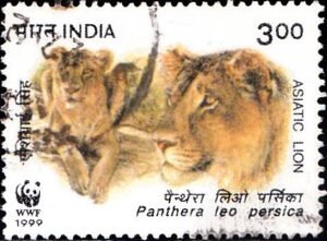 WWF India