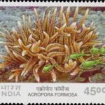 Jhalkari Bai
