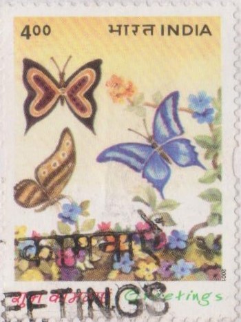 New Year Greetings from India