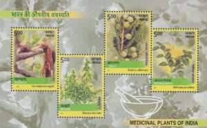 Indian Ayurveda Medicines