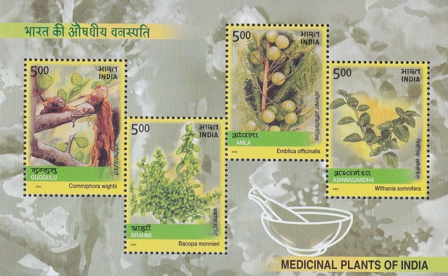 Medicinal Plants of India 2003