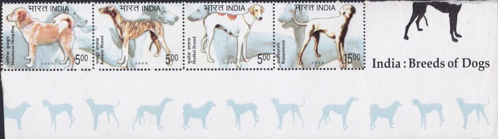 Gaddi kutta, Rampur greyhound, Caravan hound and Poligar hound