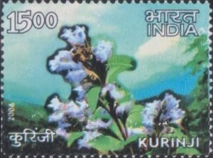 नीलकुरिंजी