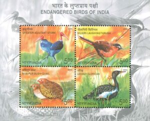 Indian Endangered Bird