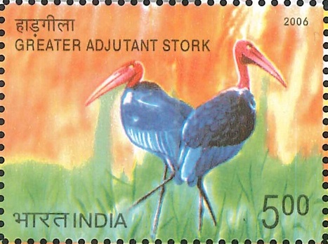 Indian Endangered Bird : Leptoptilos Dubius