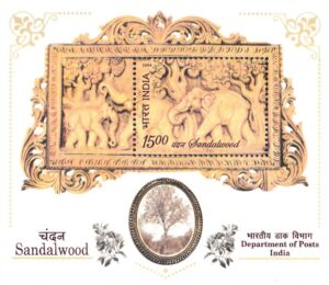 Elephants and Sandalwood Tree