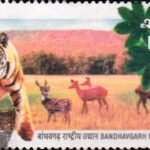 बांधवगढ़ राष्ट्रीय उद्यान