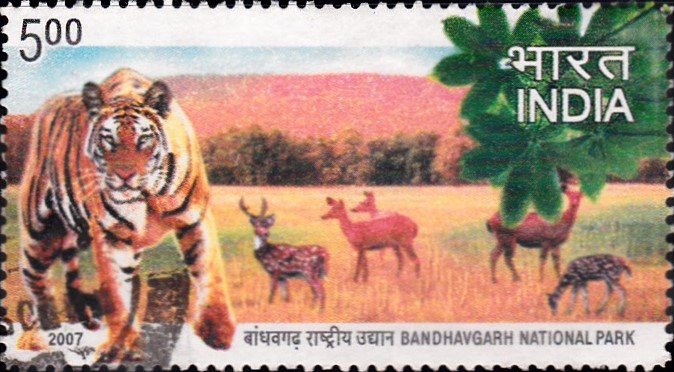 बांधवगढ़ राष्ट्रीय उद्यान
