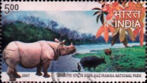 काजीरंगा राष्ट्रीय उद्यान