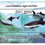 Marine Mammals