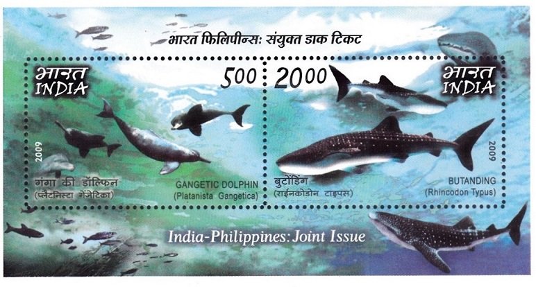 Marine Mammals
