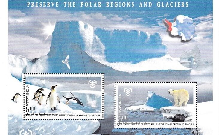 North and South Poles : Emperor Penguins and Polar Bear