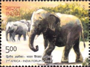 Elephas maximus indicus