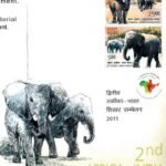 African and Indian Elephant