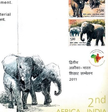 African and Indian Elephant