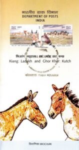 Tibetan and Indian Wild Ass (Ladakh and Little Rann of Kutch)