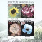 Wild Flowers of India Indian Wild Flowers