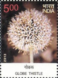 गोकरू
