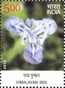 पद्म पुष्कर