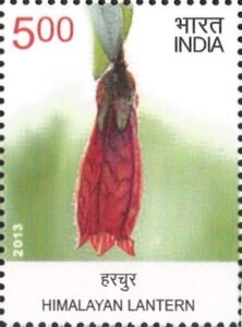 हरचुर