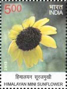हिमालयन सूरजमुखी