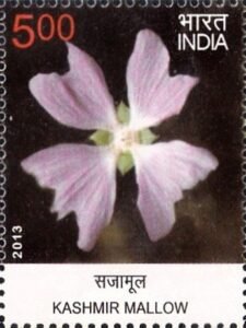 सजामूल