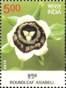 कुमुक