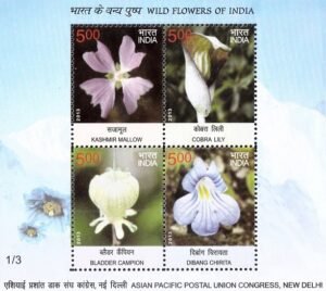 Kashmir Mallow, Cobra Lily, Bladder Campion, and Dibang Chirita