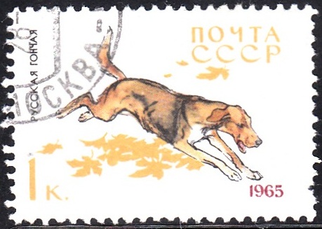 1. Russian Hound [Dog]
