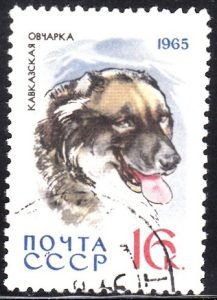 USSR Dogs 1965