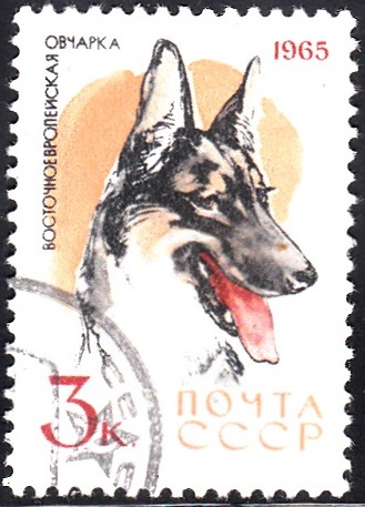 2. Police Dog [Dog]