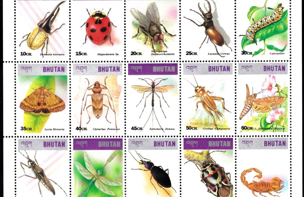 Insects and Arachnids